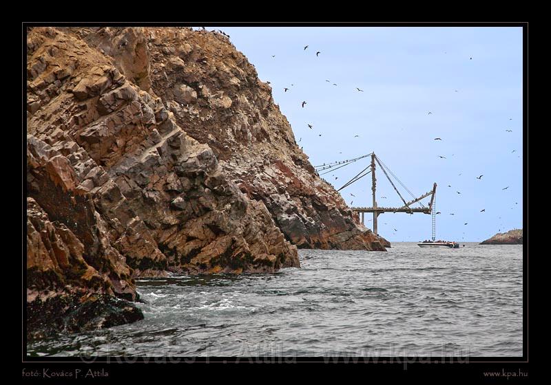 Ballestas Islands 042.jpg